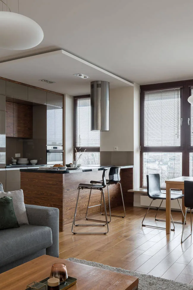 Kitchen open to the living room